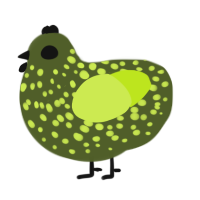 Kichi, a olive and lime chicken with a speckle pattern
