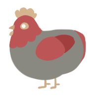 A ash and red chicken with a head pattern