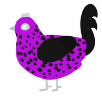 A amethyst and black chicken with a speckle pattern