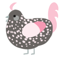 A grey and rose chicken with a speckle pattern