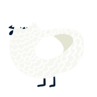 A white chicken with a lace pattern