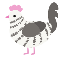 A white and grey chicken with a bar pattern