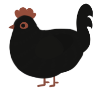 Black Hole, a black chicken with a bar pattern