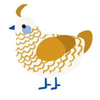 A white and ochre chicken with a lace pattern