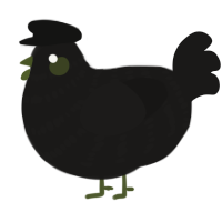 A sable chicken with a bar pattern