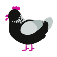 A black and silver chicken with a neck-speckle pattern