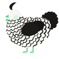 A white and sable chicken with a lace pattern