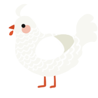 A white chicken with a lace pattern