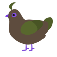avocado, a bark and olive chicken