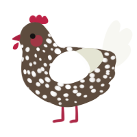 A bark and white chicken with a speckle pattern