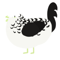 A white and sable chicken with a half-lace pattern