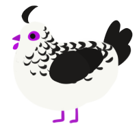 Sumi, a white and sable chicken with a half-lace pattern
