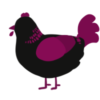 A black and wine chicken with a neck-band pattern