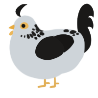 Miki, a mist and sable chicken with a neck-speckle pattern