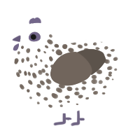 (unnamed), a white and bark chicken with a speckle pattern