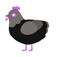 paint, a black and grey chicken with a head pattern