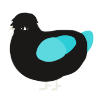 A sable and aqua chicken