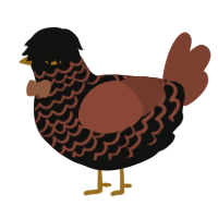 Feu de Joie, a black and russet chicken with a lace pattern