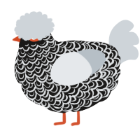 A sable and mist chicken with a double-lace pattern