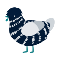 Silent Night, a tumblr and mist chicken with a bar pattern