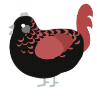 A black and red chicken with a half-lace pattern