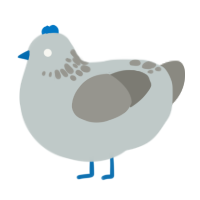 A silver and ash chicken with a neck-speckle pattern