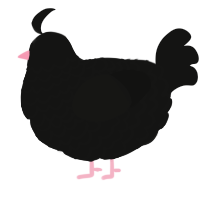 A black chicken with a lace pattern