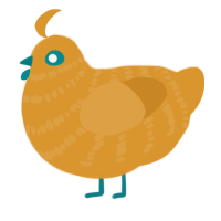 Jants the Jr, a orange chicken with a bar pattern