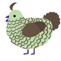 A gluppy and bark chicken with a lace pattern