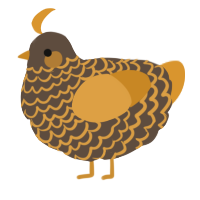 A bark and orange chicken with a lace pattern