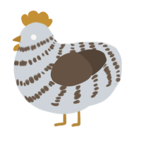 A mist and bark chicken with a bar pattern