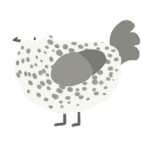 A white and ash chicken with a speckle pattern
