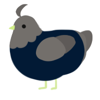 A tumblr and grey chicken with a head pattern