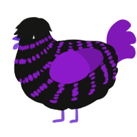 A black and violet chicken with a bar pattern
