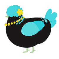 A sable and aqua chicken with a neck-band pattern