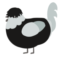 A sable and silver chicken with a head pattern
