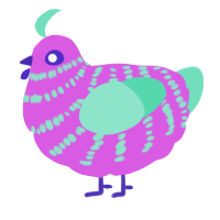 A orchid and mint chicken with a bar pattern