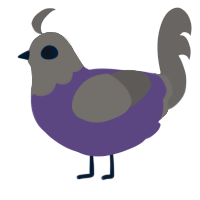older lady, a overcast and grey chicken with a head pattern