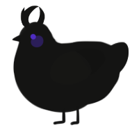 Pandemonium, a black chicken