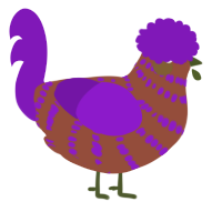 A russet and violet chicken with a bar pattern