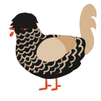falin, a sable and beige chicken with a lace pattern