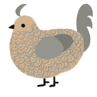 A beige and ash chicken with a double-lace pattern