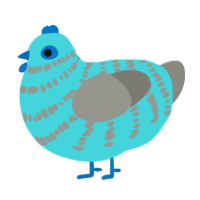A aqua and ash chicken with a bar pattern
