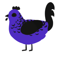 A indigo and black chicken with a half-lace pattern