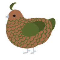 A brown and olive chicken with a lace pattern