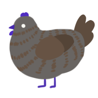 A grey and bark chicken with a bar pattern