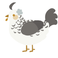 A white and grey chicken with a half-lace pattern