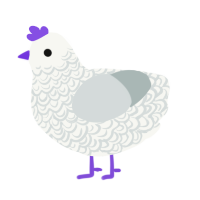 A white and silver chicken with a double-lace pattern