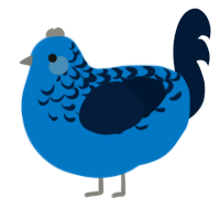 AY131, a sapphire and tumblr chicken with a half-lace pattern