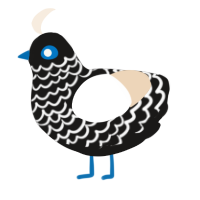 A sable and cream chicken with a lace pattern
